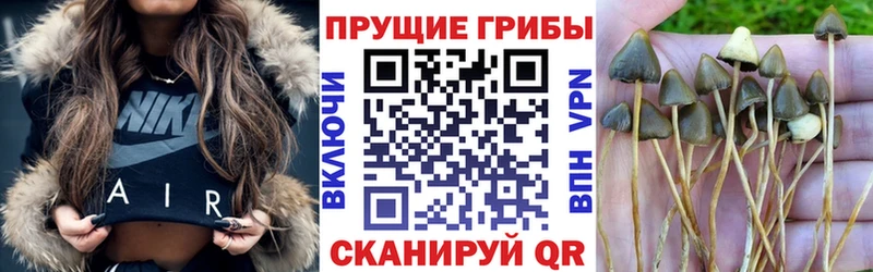 МЕГА сайт  Тихорецк  Псилоцибиновые грибы GOLDEN TEACHER 